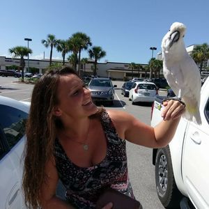 Meet your Posher, Carrie